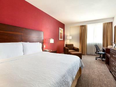 Hilton Garden Inn Querétaro Extérieur photo
